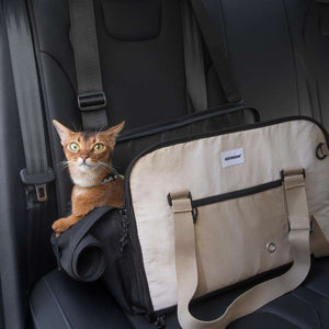 HiDREAM Convertible Pet Travel Bag & Sofa Bed | Higooga