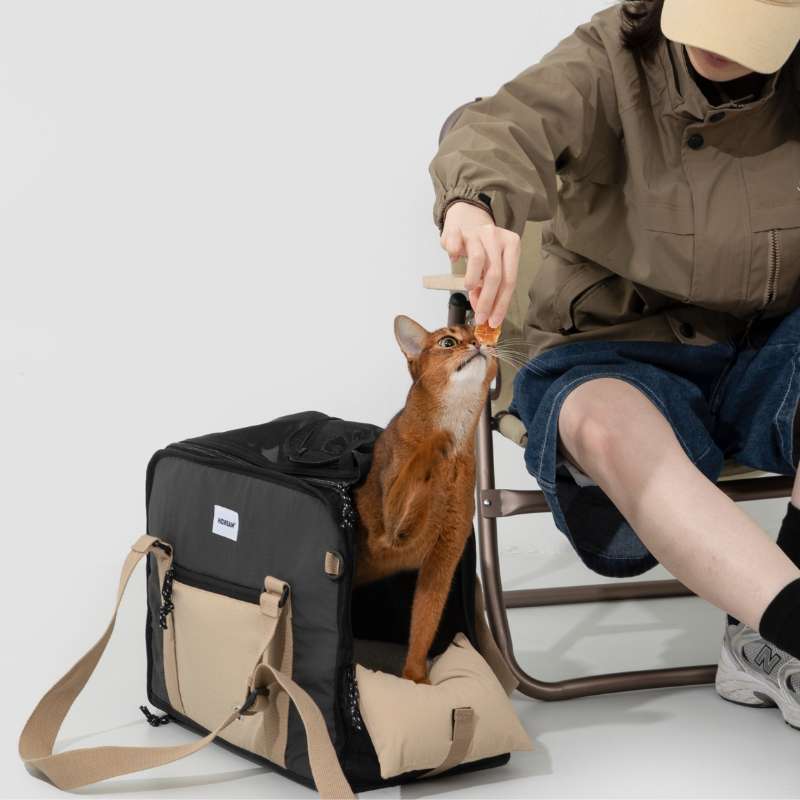 HiDREAM Convertible Pet Travel Bag & Sofa Bed | Higooga