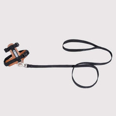 HiDREAM Extra Safe Adventure Harness & Leash | Higooga