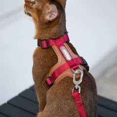 HiDREAM Extra Safe Adventure Harness & Leash | Higooga