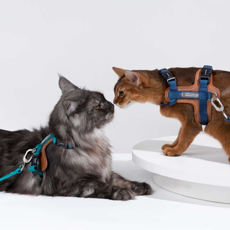 HiDREAM Extra Safe Adventure Harness & Leash | Higooga