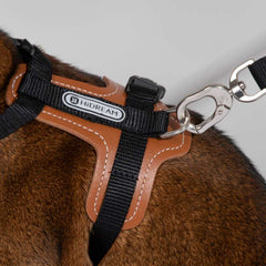 HiDREAM Extra Safe Adventure Harness & Leash | Higooga