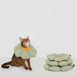 HiDREAM Flower Recovery Collar for Cats | Higooga