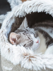 Large Enclosed Soft Fleece Cat Bed | Higooga
