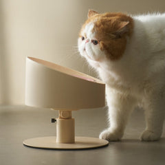 MS Ceramic Spill - Proof Elevated Pet Bowl | Higooga