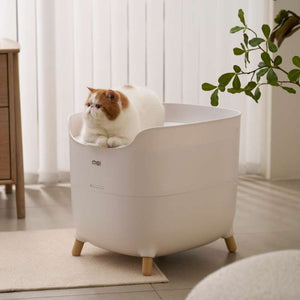 MS Modern & Spacious Top - Entry Cat Litter Box | Higooga