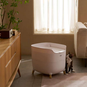 MS Modern & Spacious Top - Entry Cat Litter Box | Higooga