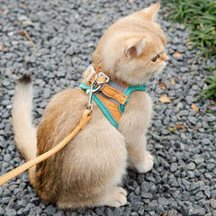 Pet Vest Harness in Macaron Colors - Carriers & Harnesses - Higooga