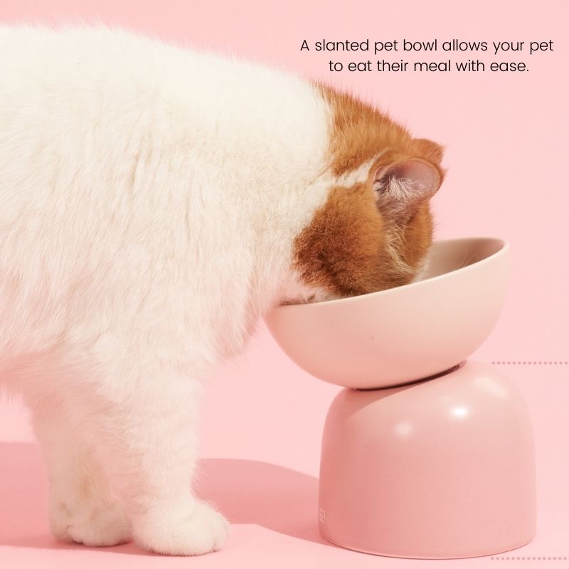 MS Two-Way Slanted Ceramic Pet Bowls - Bowls, Feeders & Waterers - Higooga