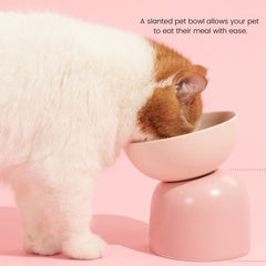 MS Two-Way Slanted Ceramic Pet Bowls - Bowls, Feeders & Waterers - Higooga