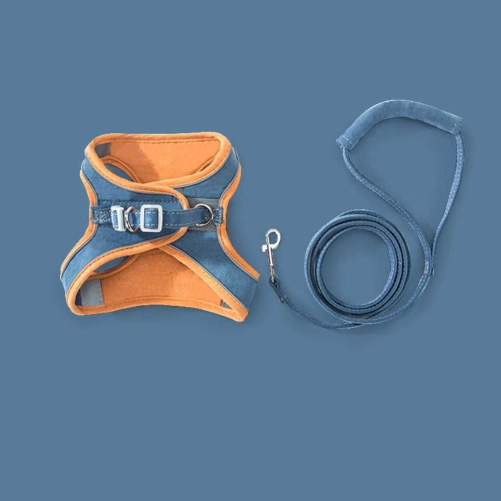 Pet Vest Harness in Macaron Colors - Carriers & Harnesses - Higooga