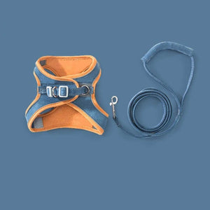 Pet Vest Harness in Macaron Colors - Carriers & Harnesses - Higooga