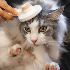 Easy Cleaning Pet Fur Comb - Pet Grooming - Higooga