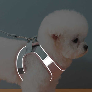 Pet Vest Harness in Macaron Colors - Carriers & Harnesses - Higooga