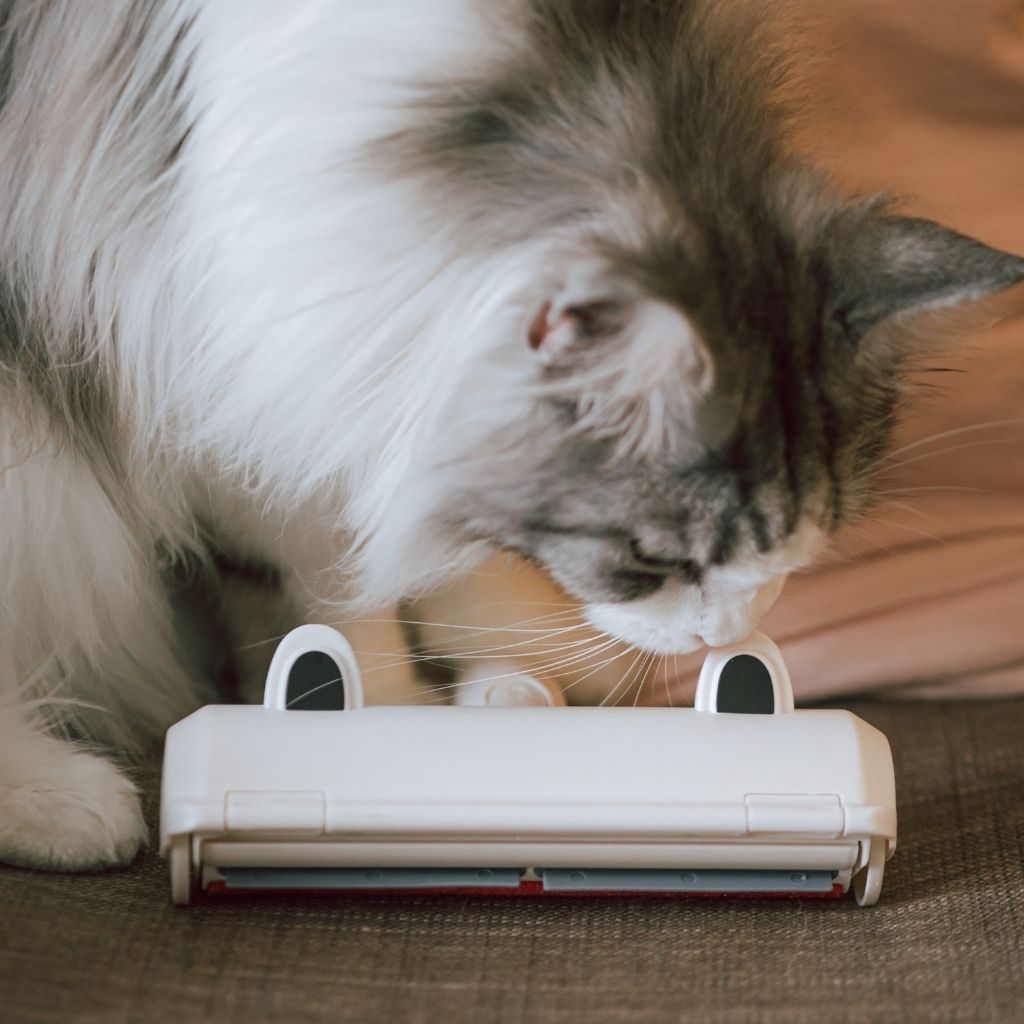 Stylish Pets Nail Clipper with LED Light and a Catcher Page