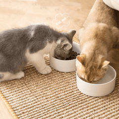 Cat Scratch Sisal Mat - Cat Scratchers - Higooga