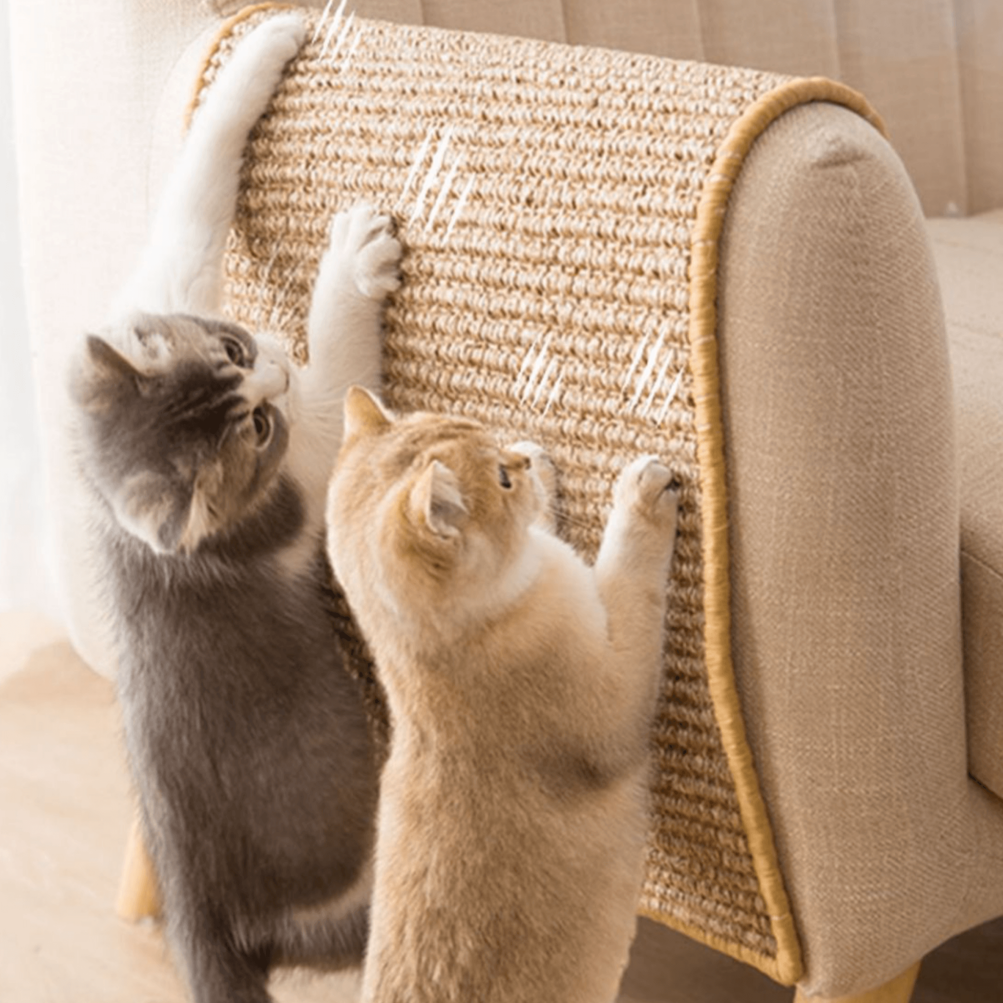 Cat Scratch Sisal Mat - Cat Scratchers - Higooga