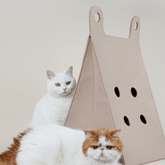 Tote Bag Style Cat Bed And Scratcher - Beds & Furniture - Higooga
