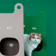 Tote Bag Style Cat Bed And Scratcher - Beds & Furniture - Higooga