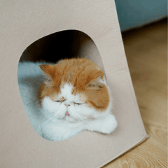 Tote Bag Style Cat Bed And Scratcher - Beds & Furniture - Higooga