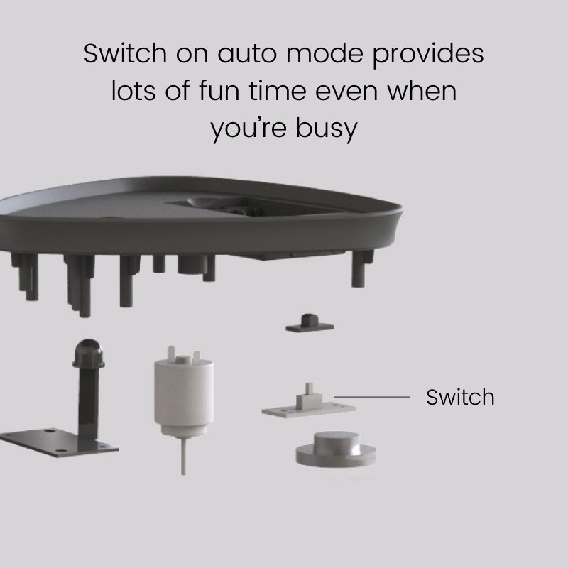 The Magic Triangle Smart Cat Toy - Toys - Higooga