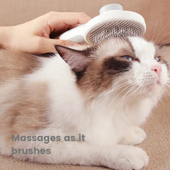 Easy Cleaning Pet Fur Comb - Pet Grooming - Higooga