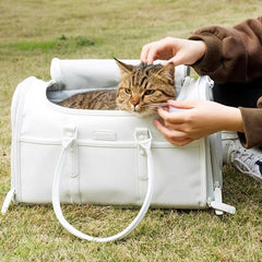 Foldable Enclosed Pet Carrier | Higooga