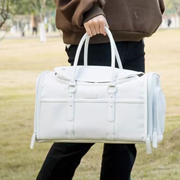 Foldable Enclosed Pet Carrier | Higooga