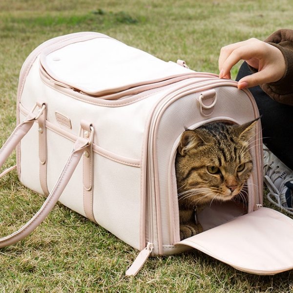 Foldable Enclosed Pet Carrier | Higooga