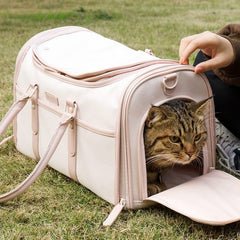 Foldable Enclosed Pet Carrier | Higooga