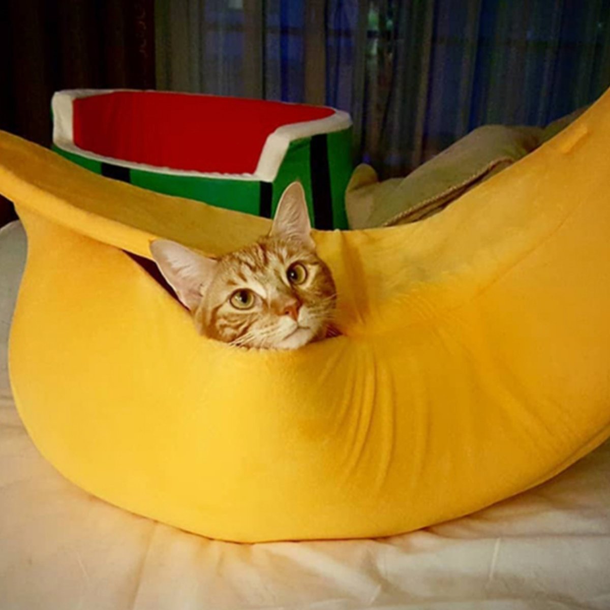 Fully Covered Banana Cat Bed - Beds & Furniture - Higooga