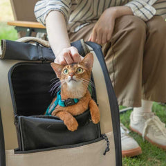 HiDREAM First Class Travel Large Capacity Pet Backpack | Higooga