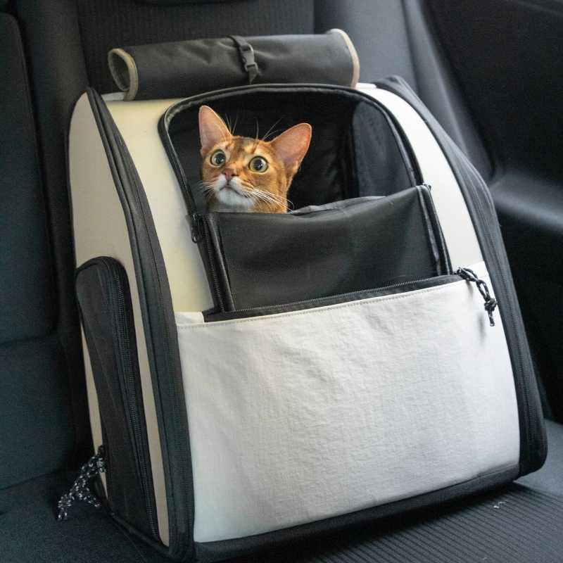 HiDREAM First Class Travel Large Capacity Pet Backpack | Higooga