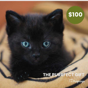 Higooga Gift Card | Higooga