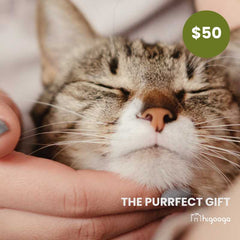 Higooga Gift Card | Higooga