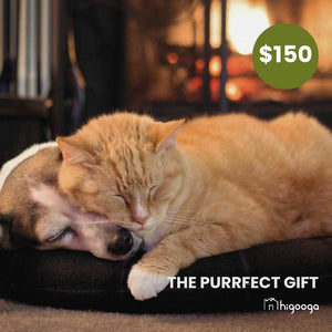 Higooga Gift Card | Higooga