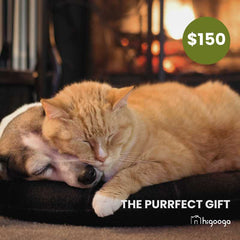 Higooga Gift Card | Higooga