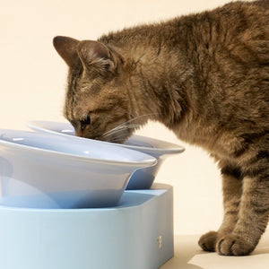 MS Designer Series Dual Ceramic Pet Bowls with Detachable Stand | Higooga