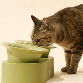 MS Designer Series Dual Ceramic Pet Bowls with Detachable Stand | Higooga