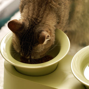 MS Designer Series Dual Ceramic Pet Bowls with Detachable Stand | Higooga