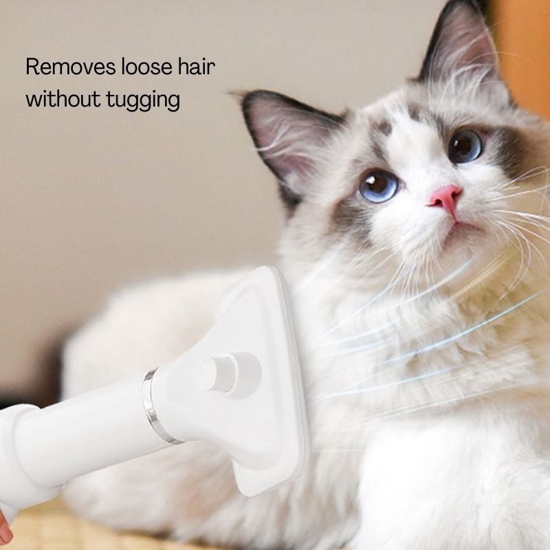 Pet 2-in-1 Dryer with Slicker Brush - Pet Grooming - Higooga