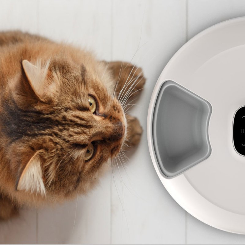 Petoneer NutriSpin 6 Meals Automatic Pet Feeder | Higooga