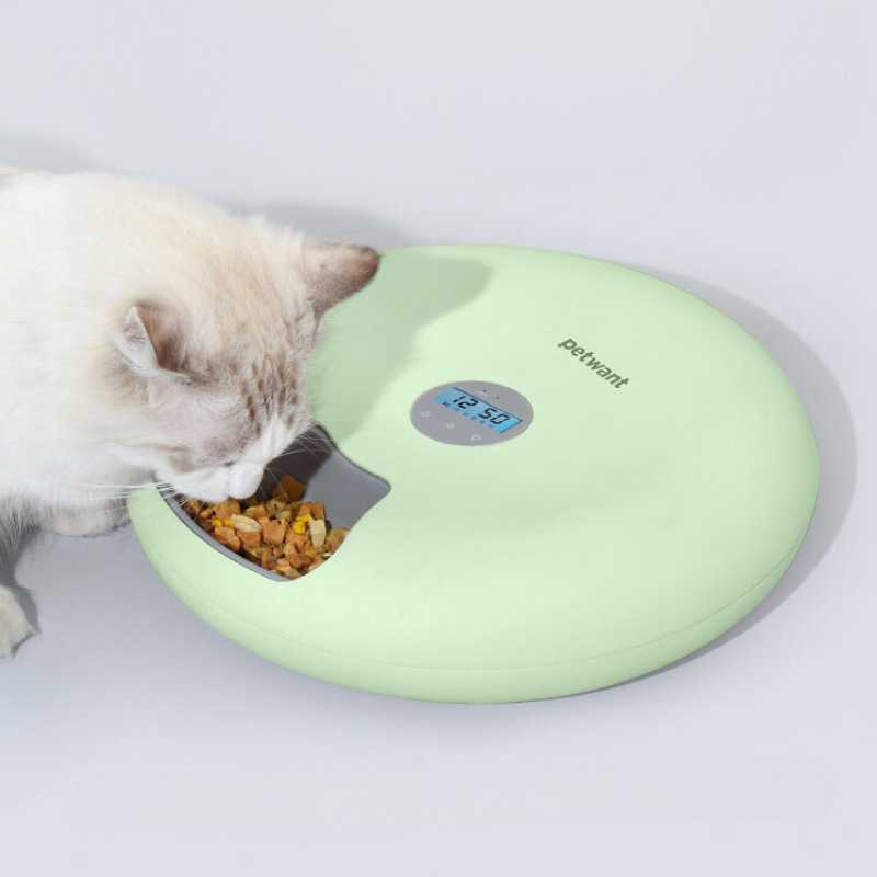 Petwant Cordless Pet Feeder with Scheduler For Wet & Dry Food | Higooga