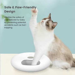 Petwant Cordless Pet Feeder with Scheduler For Wet & Dry Food | Higooga