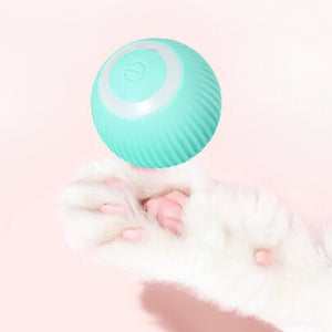 Smart Automatic Cat Teaser Ball | Higooga