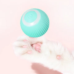 Smart Automatic Cat Teaser Ball | Higooga