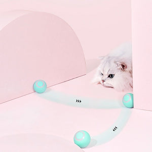 Smart Automatic Cat Teaser Ball | Higooga