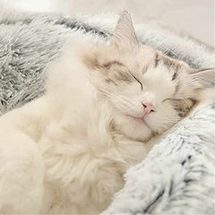 Soft Plush Pet Cave Bed for Large Cats & Medium Dogs - Beds & Furniture - Higooga