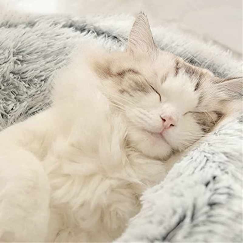 Soft Plush Pet Cave Bed for Small Cats & Dogs - Beds & Furniture - Higooga