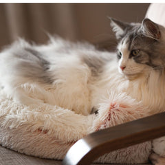 Soft Plush Pet Cave Bed for Small Cats & Dogs - Beds & Furniture - Higooga